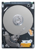 Seagate ST3500415SS